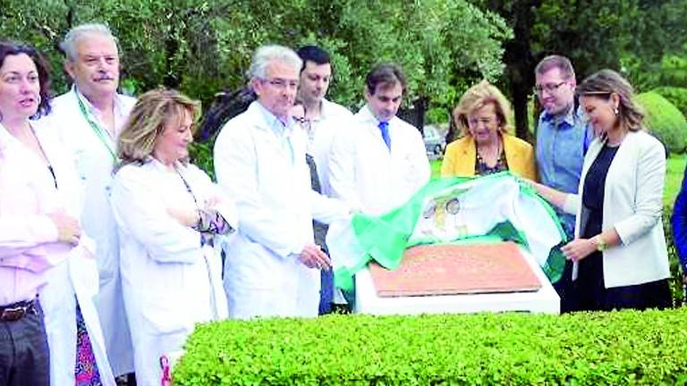 Una nueva planta por cada donante de órganos de 2017