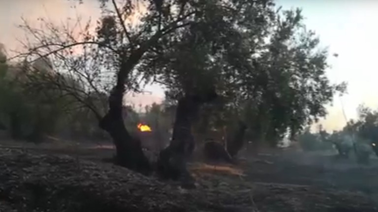 Fuego en un olivar junto al polígono Llanos del Valle