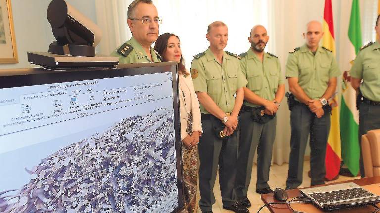 Golpe al tráfico ilegal de cuernos de ciervo Golpe al tráfico ilegal de cuernos de ciervo