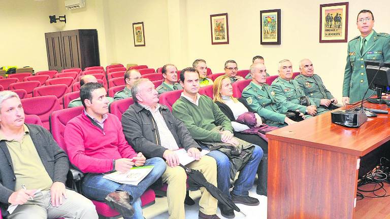 Una parte de la aceituna robada ya había sido recogida Una parte de la aceituna robada ya había sido recogida