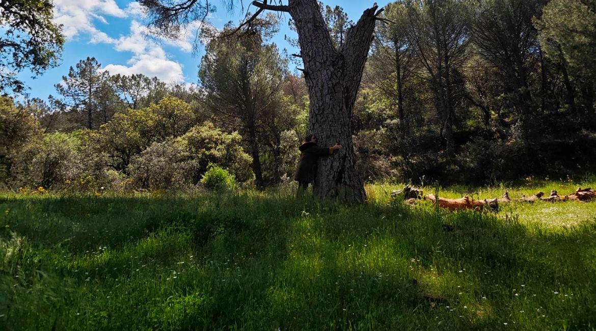La actriz jiennense Rosario Pardo, abrazándose a los pinos centenarios del paraje de La Aliseda.