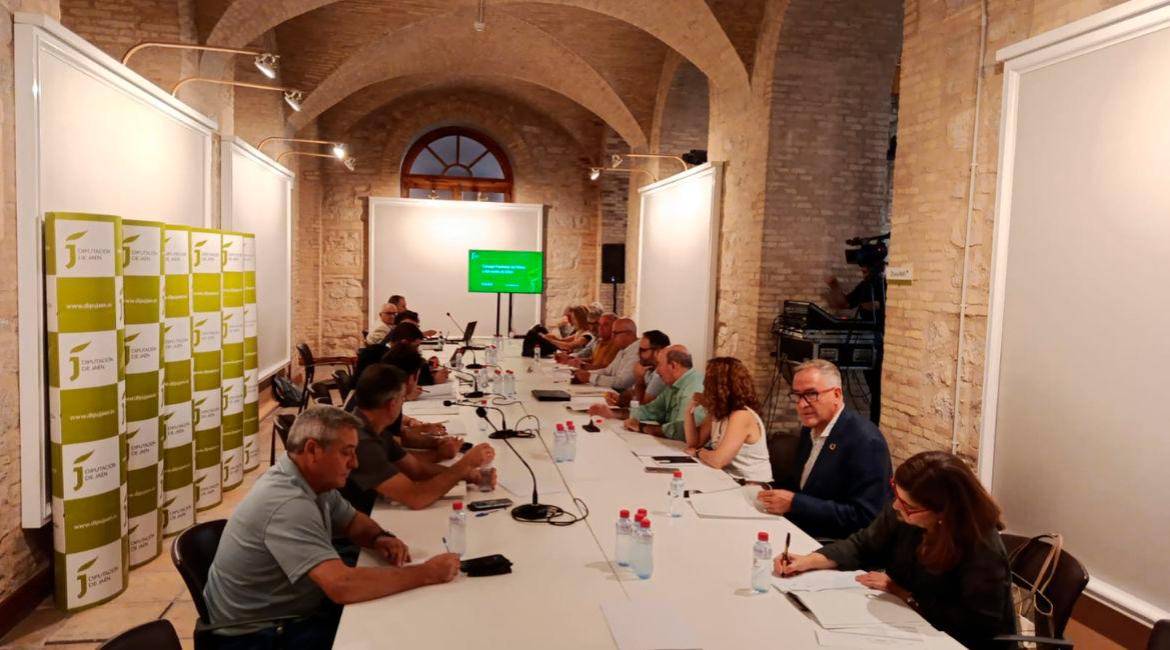Responsables de la Diputación junto con técnicos e investigadores en el Consejo Provincial del Olivar. / Adrián Claudio Bonache / Diario JAÉN.