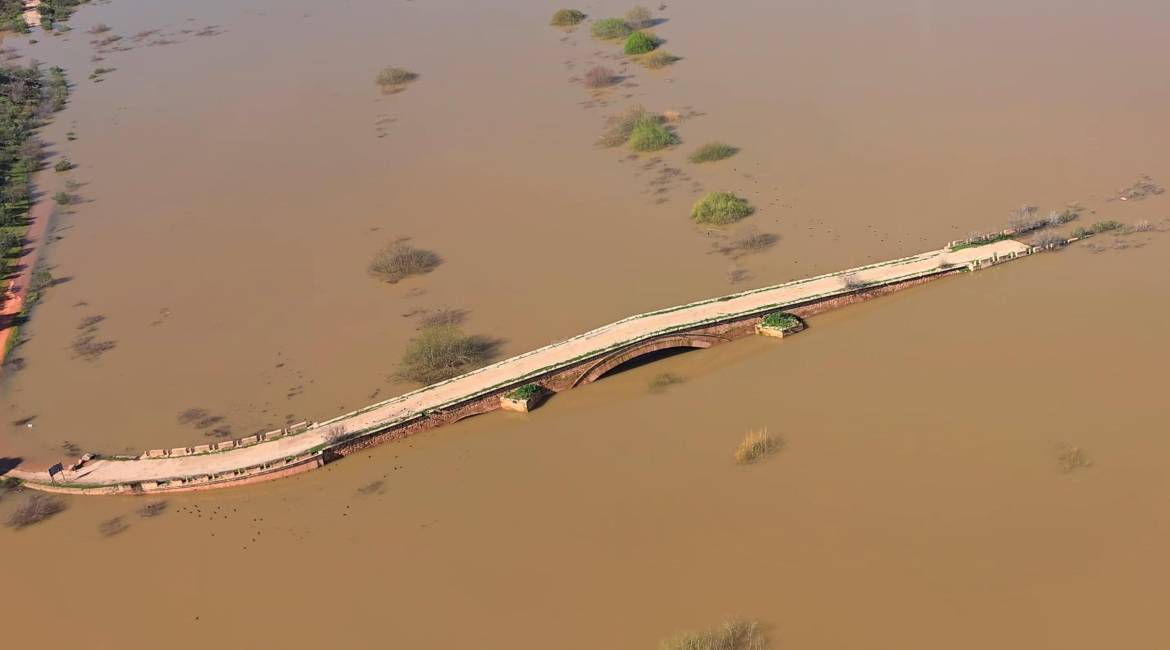 Puente Ariza, cerca de quedarse sumergido, donde antes había maleza y sequedad, ahora hay agua, agua y más agua.
