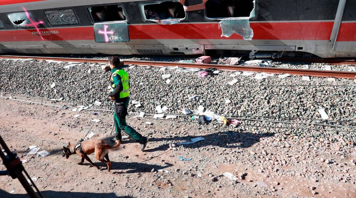 Un agente con un perro entrenado trabaja en el lugar del accidente, a 20 de enero de 2026, en Adamuz. / Rocío Ruiz / Diario JAÉN.