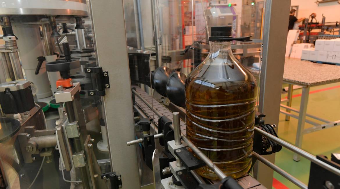 Embotellado de aceite de oliva en una cooperativa jiennense. / Agustín Muñoz / Diario JAÉN. 