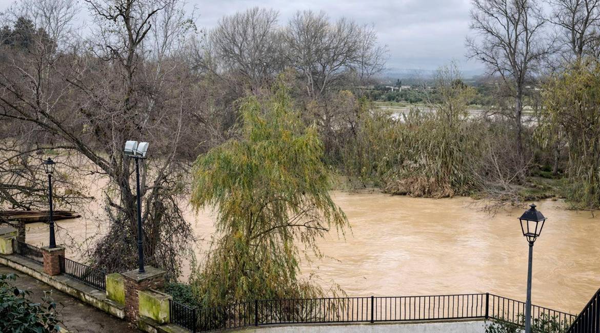 Clip rescatado del vídeo de Blas León Cañizares, con fecha a 30 de enero de 2026.