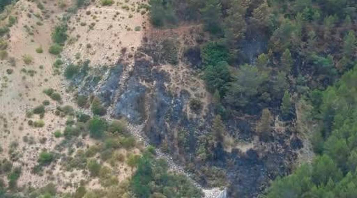 Zona donde se produjo el incendio que ya se encuentra controlado. / Plan Infoca. 