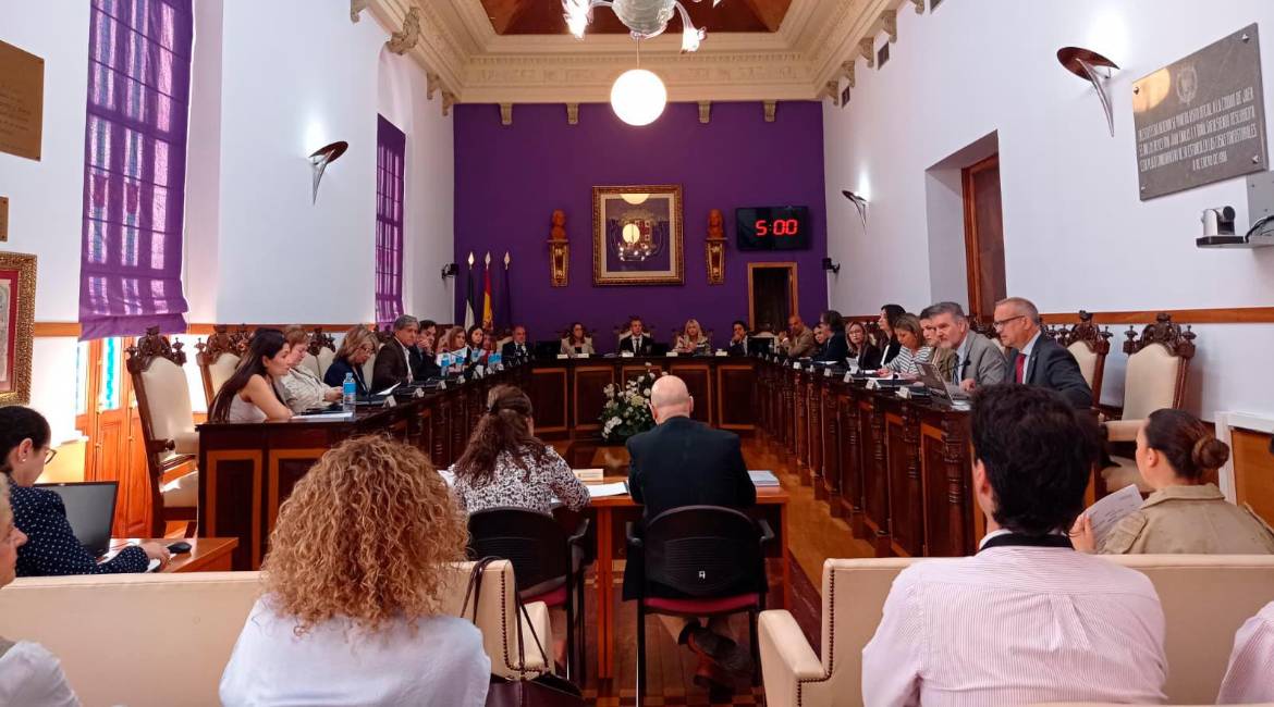 Sesión plenaria de hoy. / Fran Miranda / Diario JAÉN.