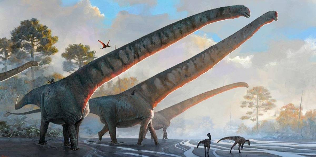 El dinosaurio con el cuello más largo jamás descubierto