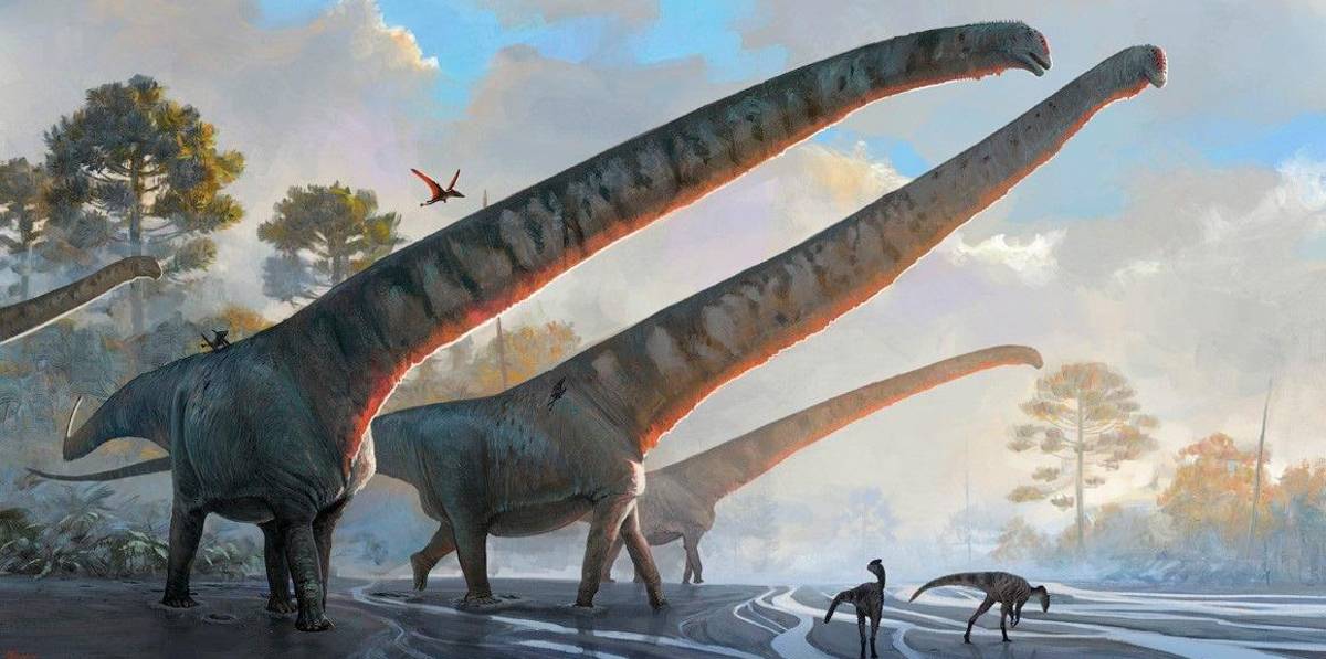 El dinosaurio con el cuello más largo jamás descubierto El dinosaurio con el cuello más largo jamás descubierto