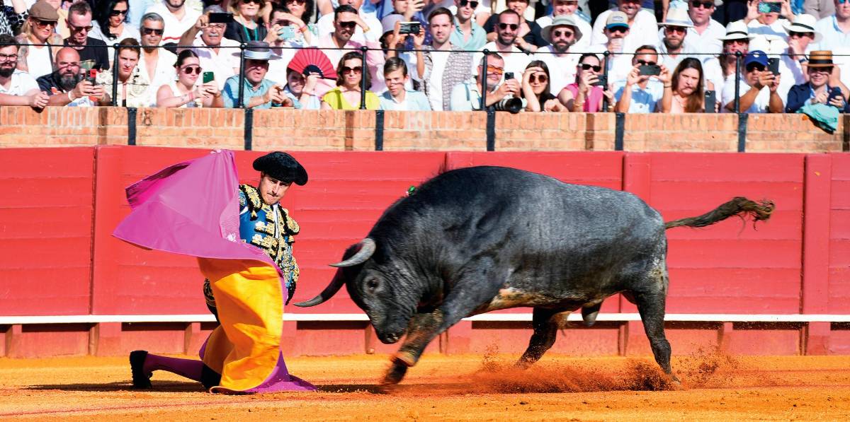 Los festejos taurinos abanderan Jaén en la Feria de San Lucas Los festejos taurinos abanderan Jaén en la Feria de San Lucas