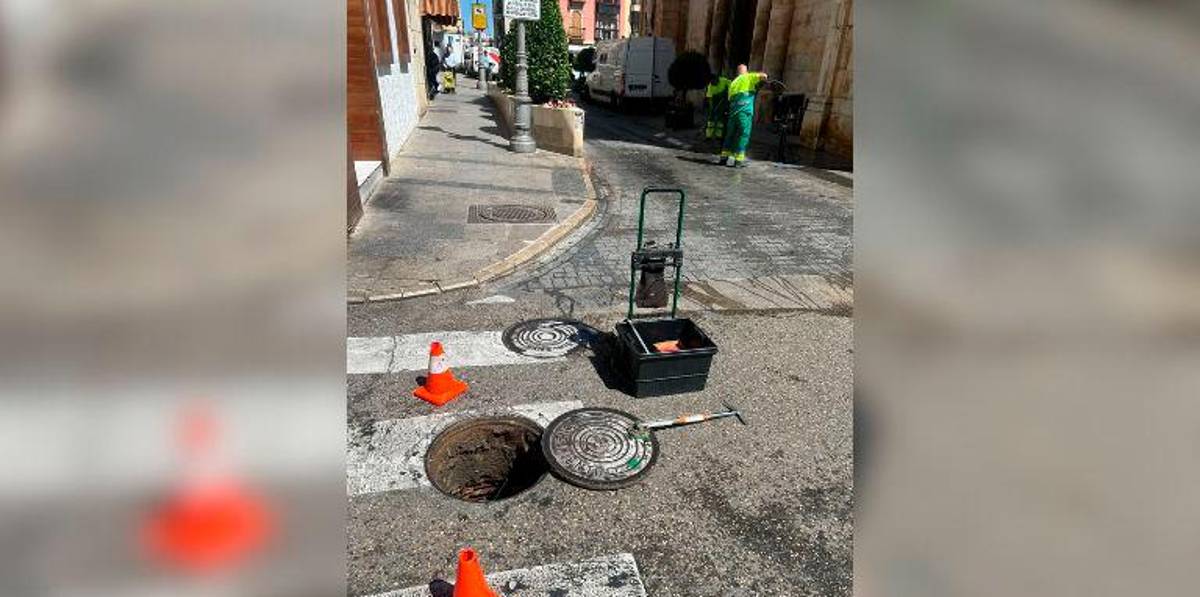 Se intensifican las tareas de desratización coincidiendo con la llegada del calor a Jaén Se intensifican las tareas de desratización coincidiendo con la llegada del calor a Jaén