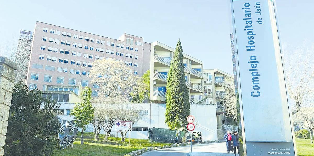 Jaén tiene el doble de sanitarios extranjeros que hace una década Jaén tiene el doble de sanitarios extranjeros que hace una década
