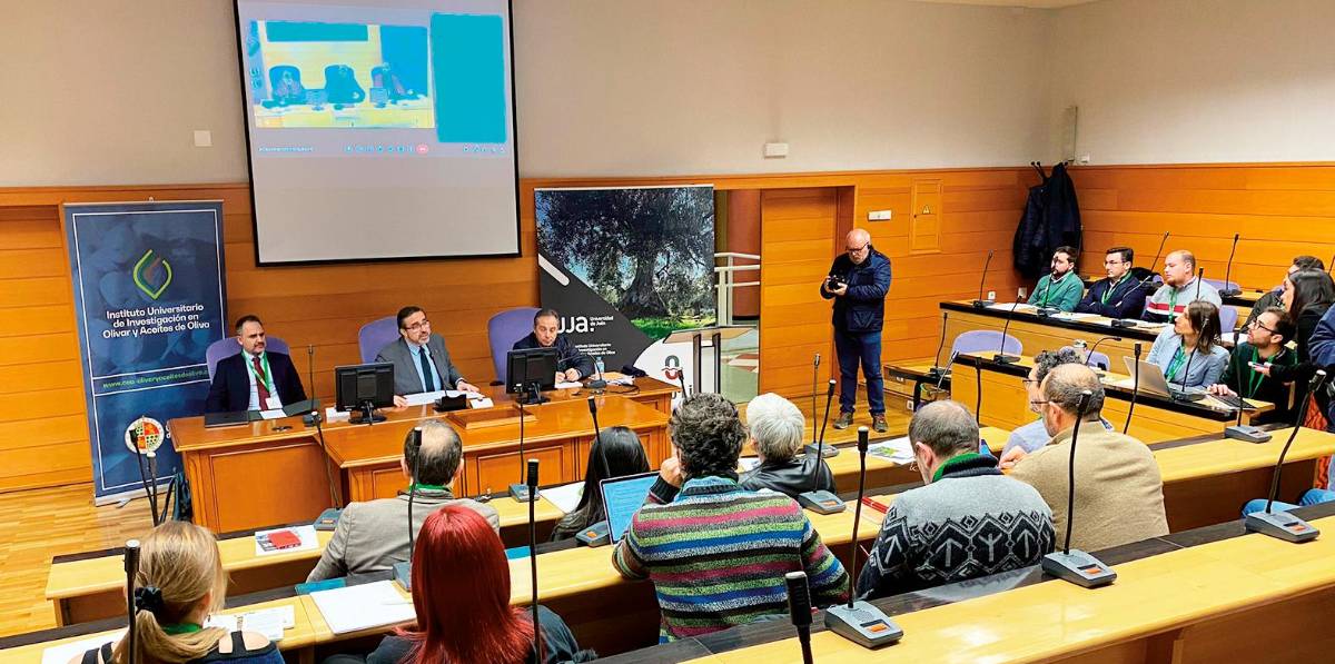 Soil O-Live: Dime cómo está el suelo del olivar y te diré si dará buen aceite Soil O-Live: Dime cómo está el suelo del olivar y te diré si dará buen aceite