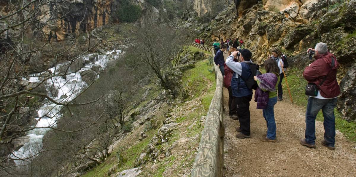 Una propuesta singular para disfrutar de los alojamientos rurales de las diez comarcas de Jaén Una propuesta singular para disfrutar de los alojamientos rurales de las diez comarcas de Jaén