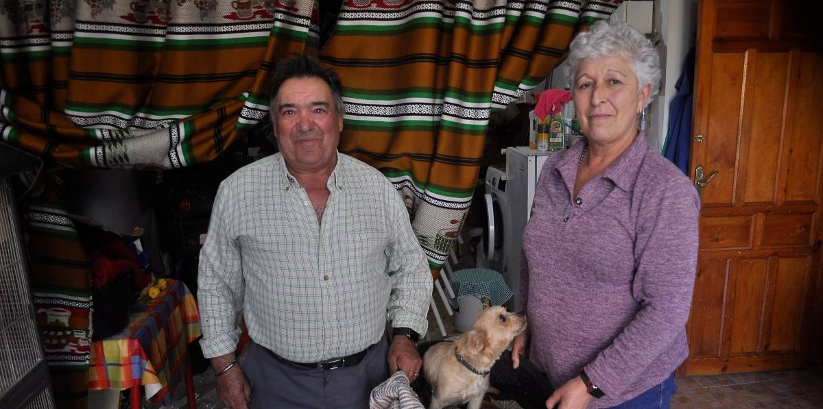 Leche para 3 cachorros... ¡Y siete conejos!