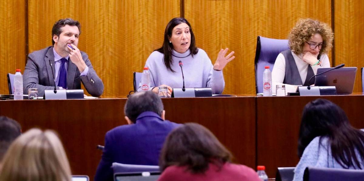 El PSOE cifra en dos años el retraso en Jaén para la valoración de la discapacidad El PSOE cifra en dos años el retraso en Jaén para la valoración de la discapacidad