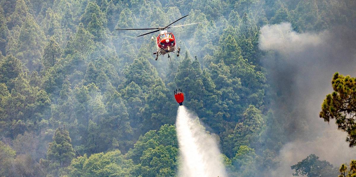 El fuego arrasa casi 15.000 hectáreas en Tenerife mientras se atrinchera en los altos de Güímar El fuego arrasa casi 15.000 hectáreas en Tenerife mientras se atrinchera en los altos de Güímar