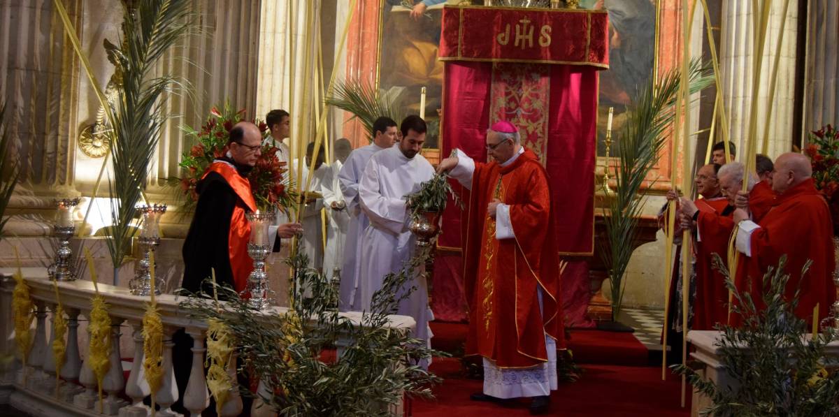 Palmas bendecidas por el obispo de Jaén para celebrar el Domingo de Ramos Palmas bendecidas por el obispo de Jaén para celebrar el Domingo de Ramos