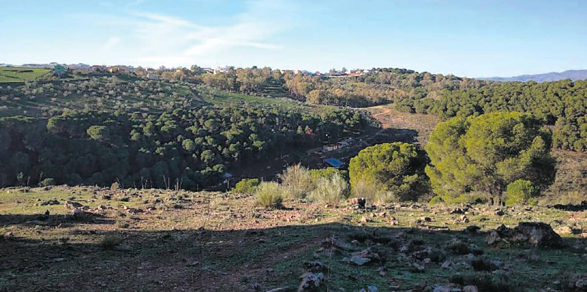 Baños de la Encina pondrá en valor sus especies aromáticas
