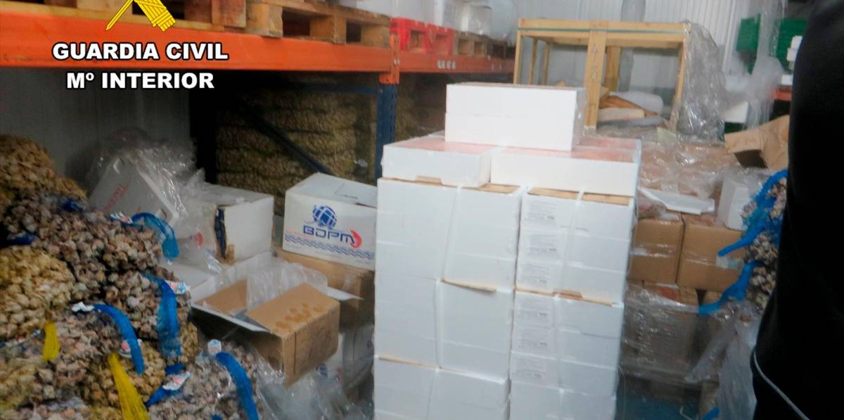 Intervienen en Úbeda más de cuatro toneladas de pescado y marisco no apto para el consumo Intervienen en Úbeda más de cuatro toneladas de pescado y marisco no apto para el consumo