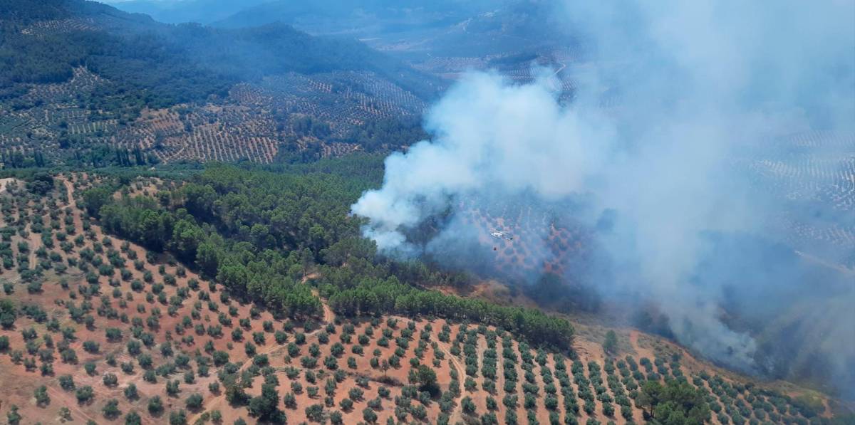 Estabilizado el incendio declarado en un paraje de Torres de Albanchez Estabilizado el incendio declarado en un paraje de Torres de Albanchez