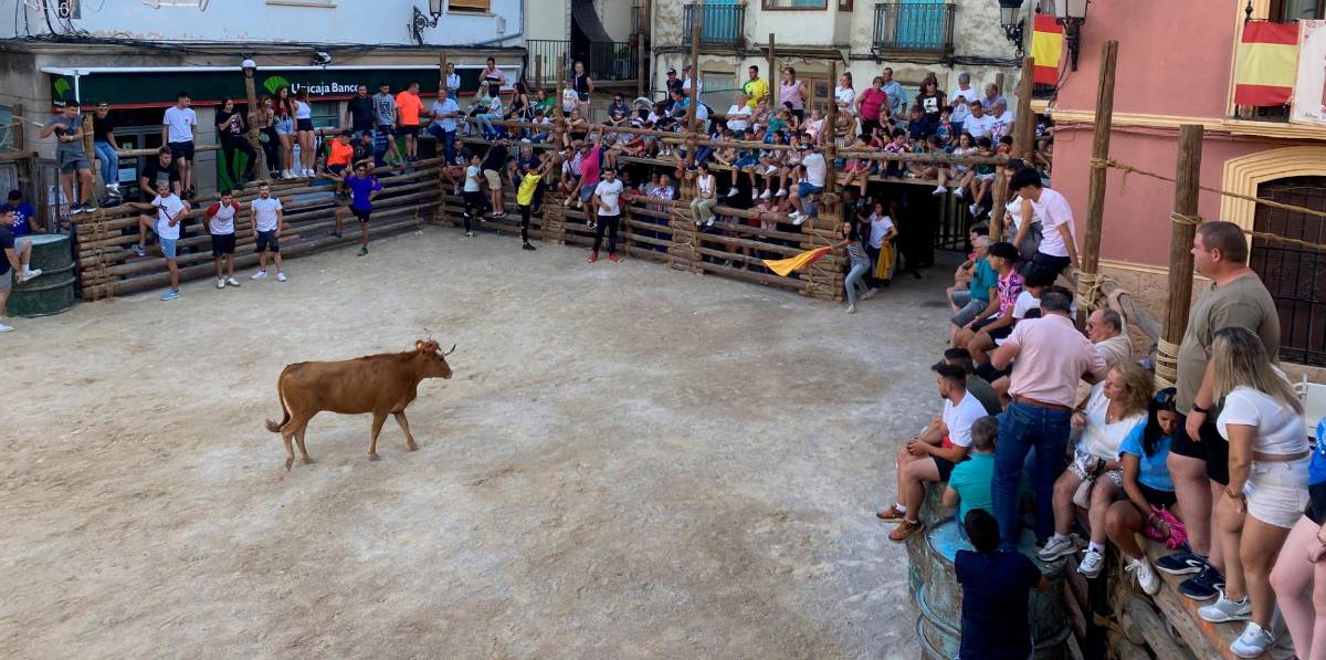 Espectacular encierro en Chiclana de Segura