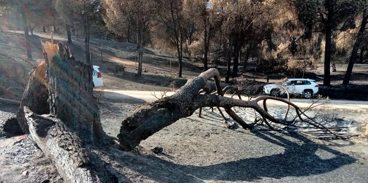 Jaén es una de las provincias con menos actuaciones por incendio forestal esta temporada Jaén es una de las provincias con menos actuaciones por incendio forestal esta temporada