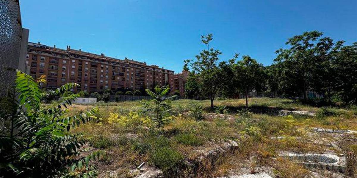 El PP de Jaén denuncia el “abandono absoluto” del Parque Arqueológico de Marroquíes Bajos El PP de Jaén denuncia el “abandono absoluto” del Parque Arqueológico de Marroquíes Bajos