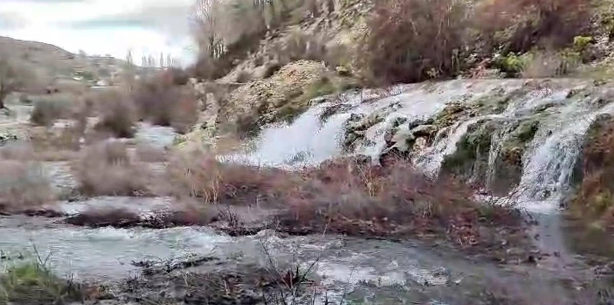 El nacimiento del río Segura, rebosante de vida El nacimiento del río Segura, rebosante de vida