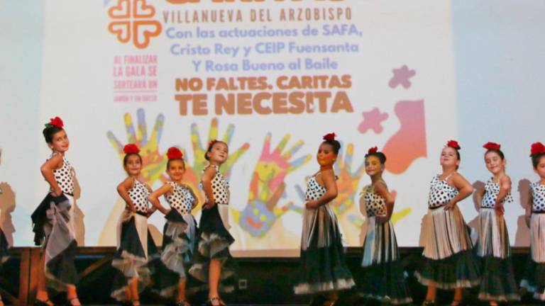Celebración del XIV Festival Solidario