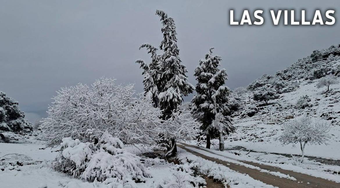 Término municipal de Villacarrillo, completamente nevado. / Juan Jesús Portillo.