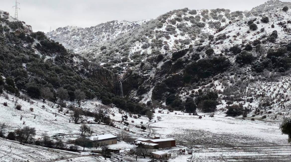 Alrededores de Valdepeñas de Jaén, bajo la nieve. 