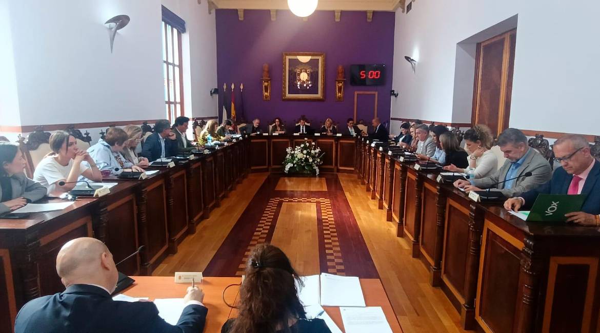 Vista general del salón de plenos del Ayuntamiento de Jaén durante la sesión extraordinaria y urgente de esta mañana. / F. Gaitán / Diario JAÉN