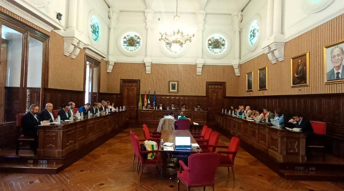 Vista general del salón de plenos de Diputación durante la sesión de esta mañana. / F. Gaitán / Diario JAÉN.