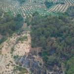 Zona donde se produjo el incendio que ya se encuentra controlado. / Plan Infoca. 