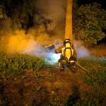Bomberos de Andújar durante su intervención. / Bomberos de Andújar.