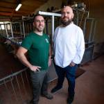 Álvaro Jiménez y Francisco Marín, encargados de la degustación de queso y vino.