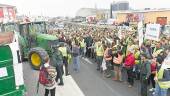 PROTESTA. Movilizaciones del sector oleícola, que lucha por unos precios justos.