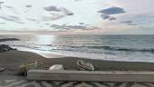 Imagen de archivo de la playa de La Mamola. / Google Maps.