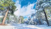 Bella estampa navideña de las cumbres de Siles cubiertas de nieve tras una madrugada de temperaturas cercanas al bajo cero.