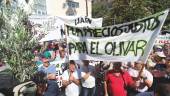 PROTESTA. Manifestación de los agricultores en defensa del olivar tradicional en la provincia.