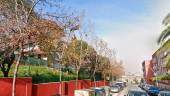 Calle La Cruz en Linares. / Google Maps. 