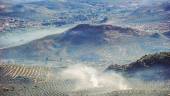 Campos jiennenses de olivares, en el entorno de la capital, durante la quema de ramón. 