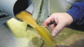 El aceite de oliva virgen extra durante el proceso de control de calidad de extracción.