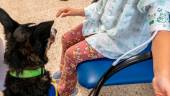 Uno de los perros de la terapia canina junto a una paciente. / Junta de Andalucía.