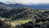 Sierra Morena, zona de la provincia con más riesgo de incendios durante el verano, junto a la Sierra de Cazorla. / Agustín Muñoz / Diario JAÉN. 