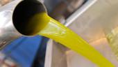 DATOS. El precio del aceite de oliva virgen extra experimentó una caída del 15%, pero el consumo aumentó un 31%.