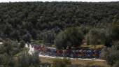 Pelotón entre olivos durante la Clásica Jaén Paraíso Interior 2025. Archivo. / Luis Ángel Gómez.