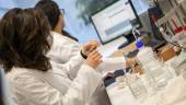 ESTUDIO. Estudiantes de la Escuela Politécnica de Linares hacen prácticas en uno de los laboratorios de la institución.